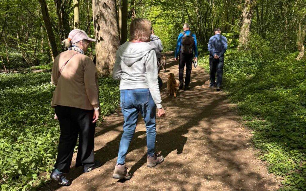 Community walking group on woodland path