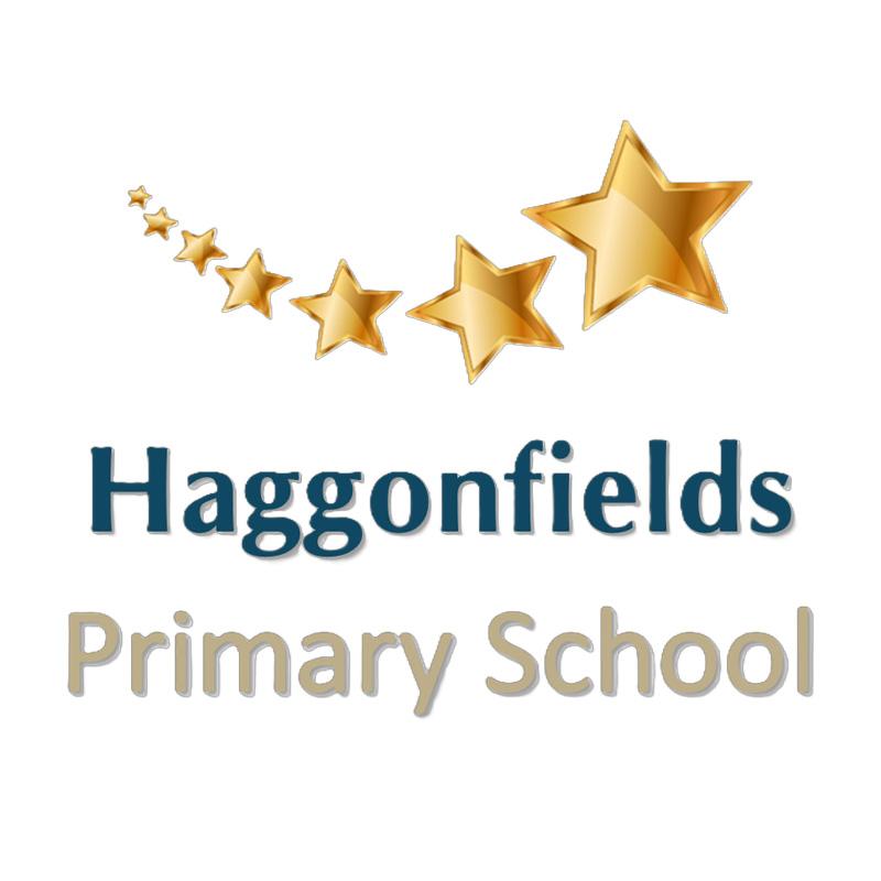 Haggonfields Primary School partner logo