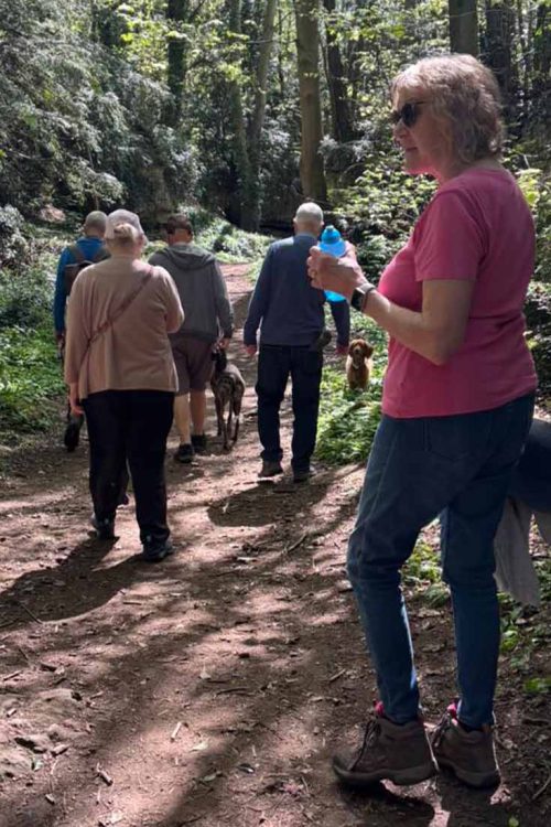 Group walking along woodland trail